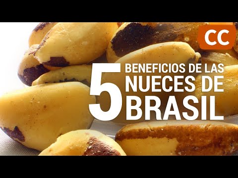 5 Beneficios de la Nuez de Brasil | Ciencia de la Comida