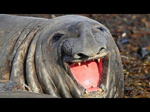 clean memes that are actually funny
