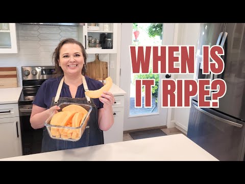 How to Wash Cantaloupe | How to Cut a Cantaloupe