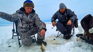 Где хорошо клюет рыба в челябинской области 2020