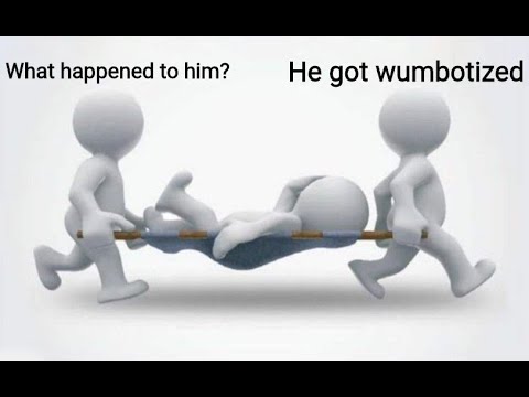 he got wumbotized