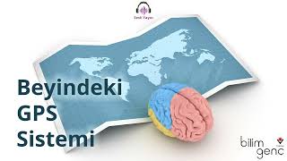 Beyindeki GPS Sistemi