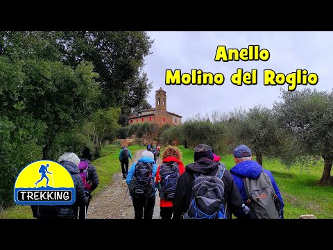 TREKKING: Forcoli - Alica - Villa Saletta - Molino del Roglio - Forcoli - di Sergio Colombini (4K)