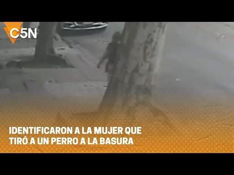 SIN CORAZÓN: ARROJÓ a un PERRO a un CONTENEDOR