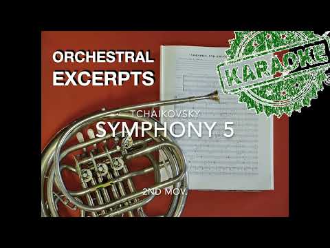 ORCHESTRAL EXCERPT for FRENCH HORN 1: Tchaikovsky Symphony No. 5, 2nd Mvt.  PLAY-ALONG