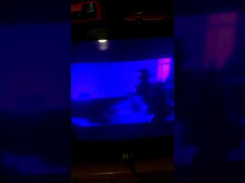 Doom (Sarge vs Reaper)