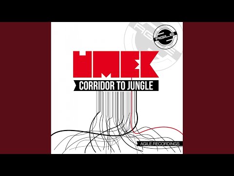 Corridor To Jungle (Original Mix)