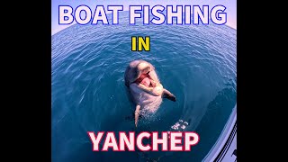 【イルカがすぐ近くに！！】PERTHで初めてのBOAT FISHING!! YANCHEPで大物は釣れるか！？