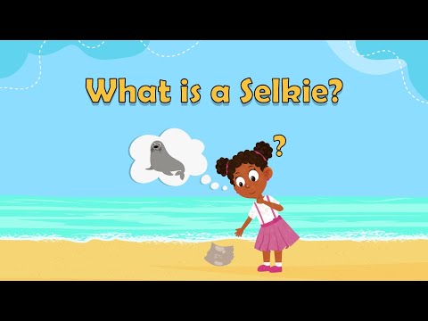 Selkies - What is a Selkie? - Magical creatures for kids - mythical creatures for kids - Fun facts