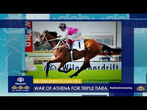 WILGERBOSDRIFT SA OAKS:  WAR OF ATHENA