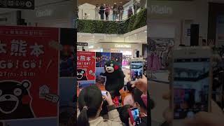 熊本熊轉身打招呼🏯現身林口三井MITSUI OUTLET PARK 2024年1月27日 #熊本熊#くまモン#Kumamon#酷MA萌
