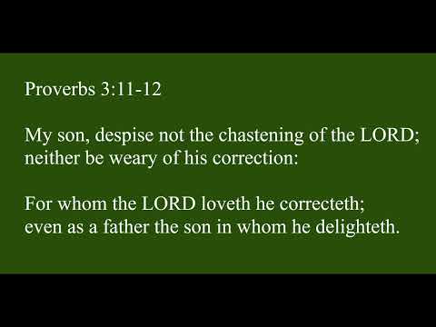 Proverbs 3 11 12 Kjv