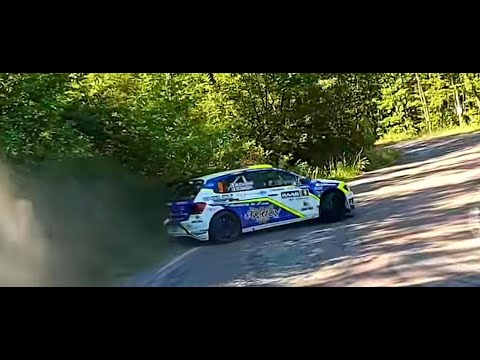 31° Rally Alto Appennino Bolognese RAAB 2019 show and Mistakes