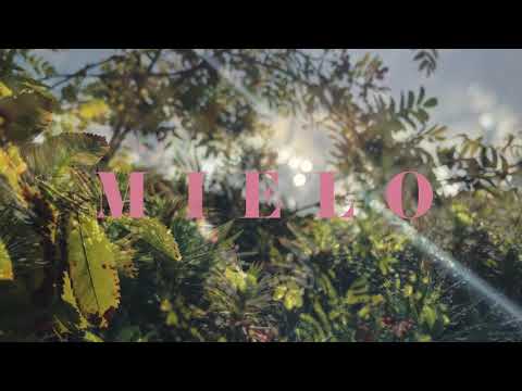 Suden tuutu (Wolf’s Lullaby) teaser - Maria Kalaniemi & Eero Grundström