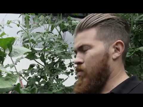 Äänirasia  - osa 10 - Lupa-asiat