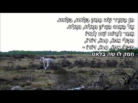 שיר עד - שה קטן - מילים: אריה אהרוני | לחן: נחום היימן | ביצוע: דוד הדס וחמישיית גלבוע, 1962