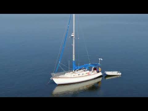 2019-05-25 Dauphin Island, AL - The Dive