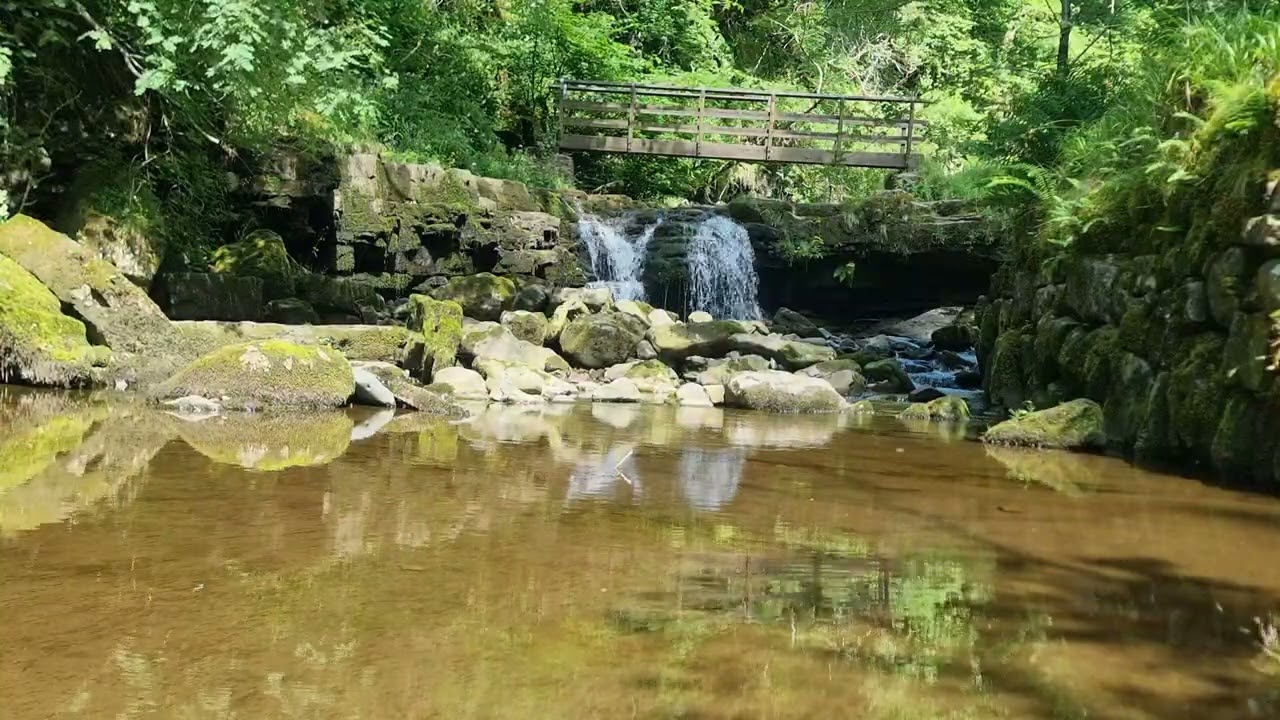Relaxing Waterfall White Noise • Peaceful Nature Ambience for Sleeping