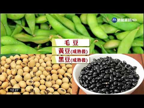 「毛豆.黑豆有何關係?」 黃偉哲差點被考倒