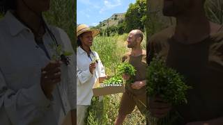 Foraging with Friends, Matai and Zoya
