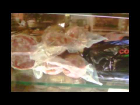 Osteria Torre Morosini cucina tipica Veneta .