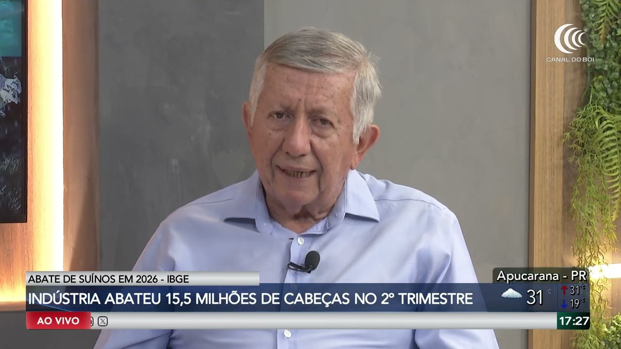 Abates de bovinos e suínos crescem no 2º trimestre de 2026