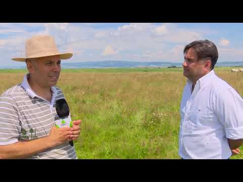 portret de fermier fermier vaci charolez HD 26 07 2020