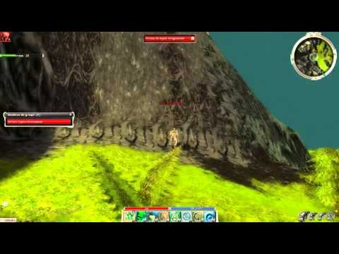 GuildWars 55hp Byzzr Wingmender HM