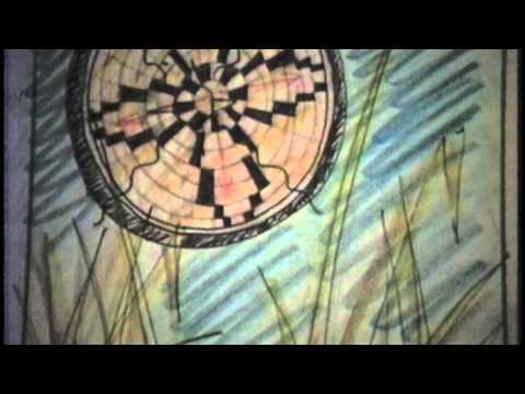 Butterflies Animation Tests