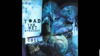 Toad The Wet Sprocket - Little Man Big Man