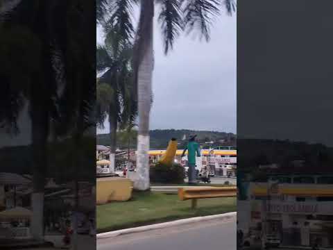 Teolândia e Wenceslau Guimarães #bahia #agro