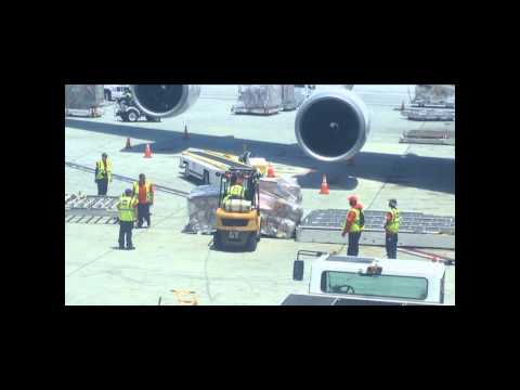 LAX cargo loading a KLM 747
