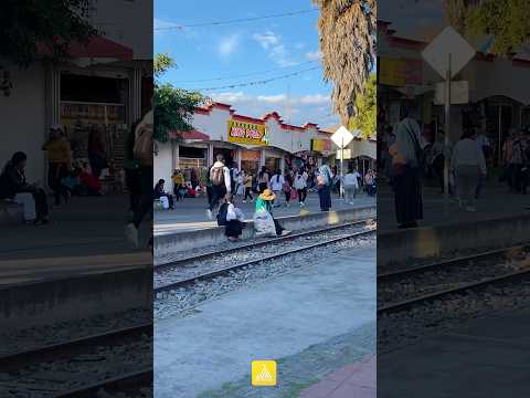 📍Ibarra Ecuador 🇪🇨 2026  tour #ecuador  #imbabura