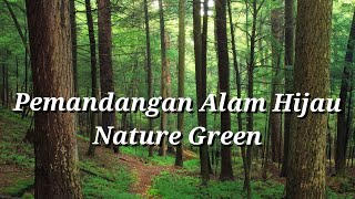 Download lagu Pemandangan Alam Hijau (Nature Green) mp3