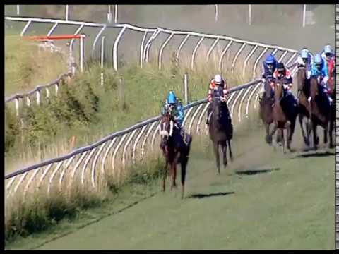 Galoppo 12/06/2020 - 6ª corsa