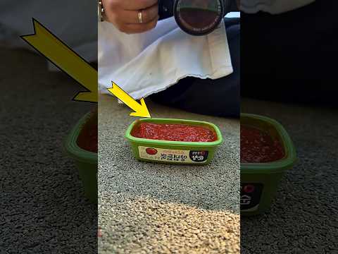 Ketchup Makes Photos Cinematic!