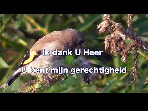 Opwekking 365 Ik aanbid U Heer