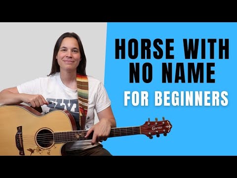 2 CHORD SONG - Horse With No Name Guitar Lesson BEGINNER LEVEL