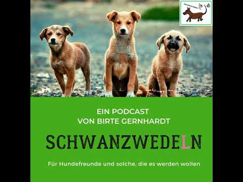 09 Sind Hunde farbenblind? - Schwanzwedeln