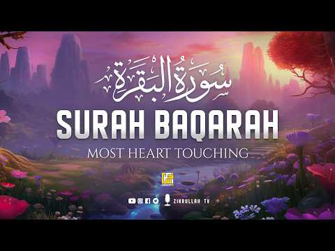 Surah Baqarah Full سورة البقره | Ultimate Relaxing Most Beautiful Heart Calming Quran | Zikrullah TV