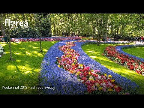 Keukenhof 2019