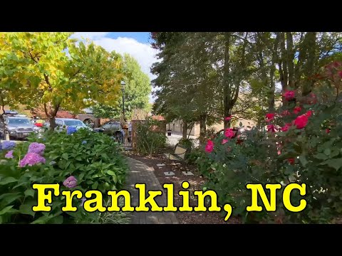 Franklin | Town Center Walk Through |  Visit, shop, eat, move to, or start a business
