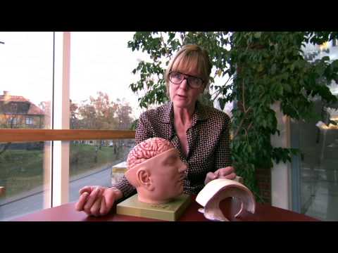 Hjärnfonden: Livet sitter i hjärnan -- Del 3: När hjärnan skadas