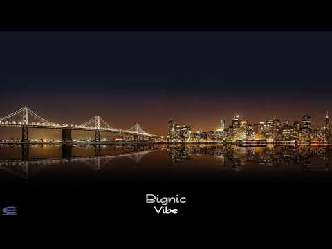 Bignic - Vibe