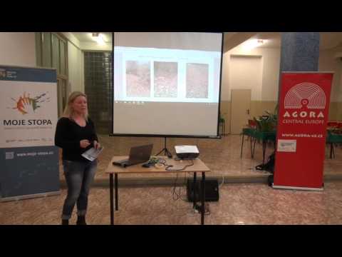 Přístupová cesta k ZŠ Švehlova