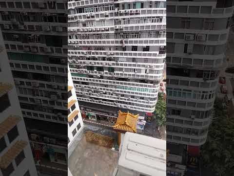 安樂大廈 Youtube Video
