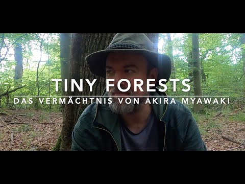 Tiny Forests - Die "neue" Wunder-Baumpflanzmethode???