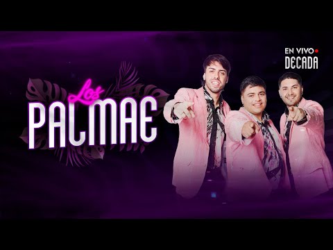 #6 - LOS PALMAE | En vivo en DECADA