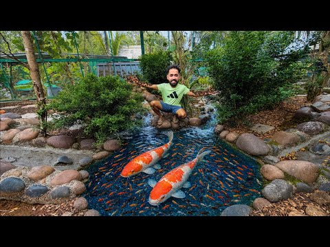 എന്തിനാ.. കിളികളെ എല്ലാം പിടിച്ചു കൊടുക്കുന്നു?? | Selling all my birds | Fishing Freaks 