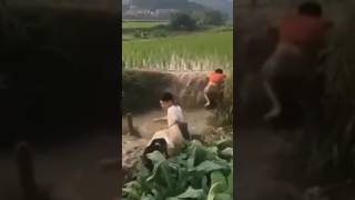 Download lagu Video Lucu di Desa #funny #lucu #funnyvideo #videolucu #shorts mp3 Download lagu Video Lucu di Desa #funny #lucu #funnyvideo #videolucu #shorts mp3